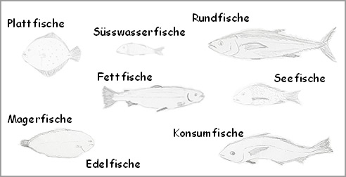 Warenkunde Fische