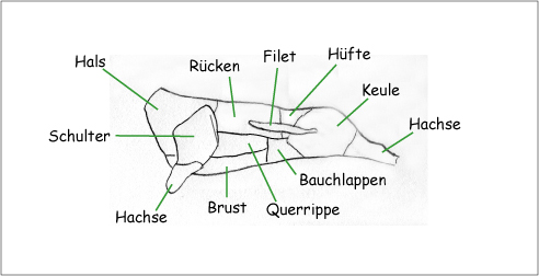 Warenkunde Kalbfleisch