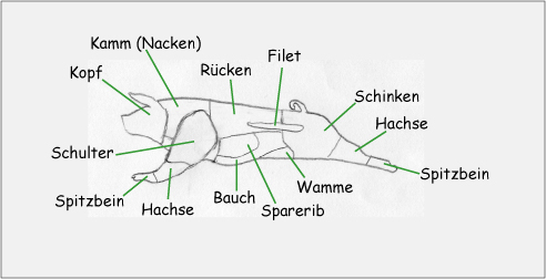 Warenkunde Schweinefleisch