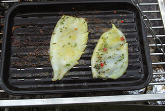 gegrillte Calamari