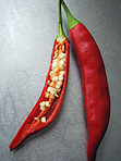Chilischote