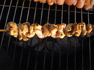 gegrillte Putenspieße