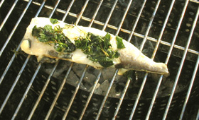 Zanderfilet