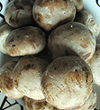 Champignon