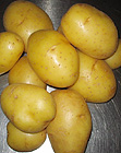 Kartoffeln