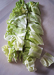 Spitzkohl