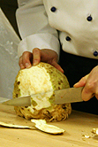 Knollensellerie