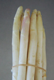 Spargel