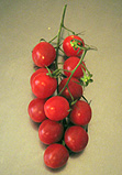 Cherrytomaten