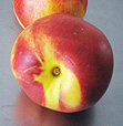 Nektarine