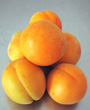 Aprikose
