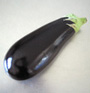 Aubergine
