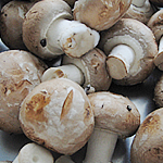 Champignon