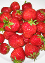 Erdbeeren