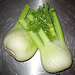 Fenchel