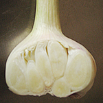 Knoblauch