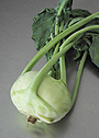 Kohlrabi