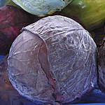 Rotkohl