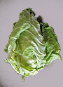 Spitzkohl